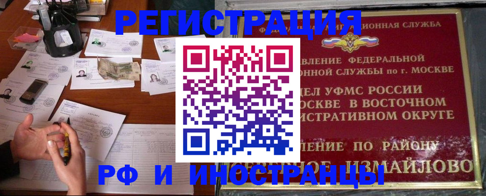 где прописаться в Нелидово